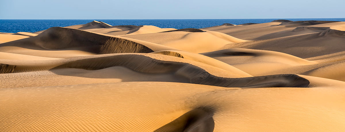 Descubriendo Maspalomas: Dunas, Faro y Charca